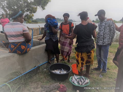 How Buhari administration awarded Ogoni cleanup contracts to unqualified firms